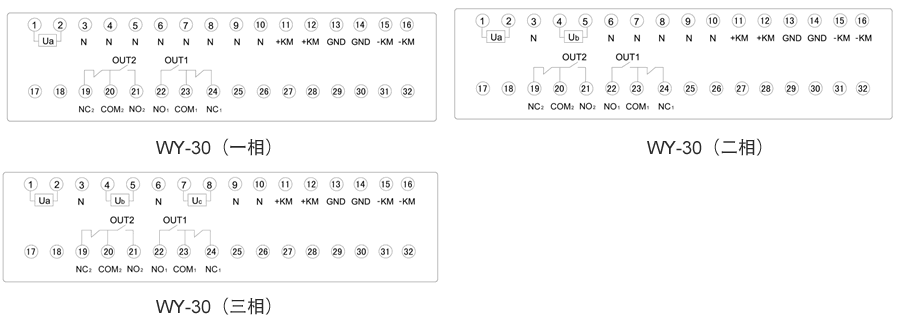 WY-31C3內部接線(xiàn)圖